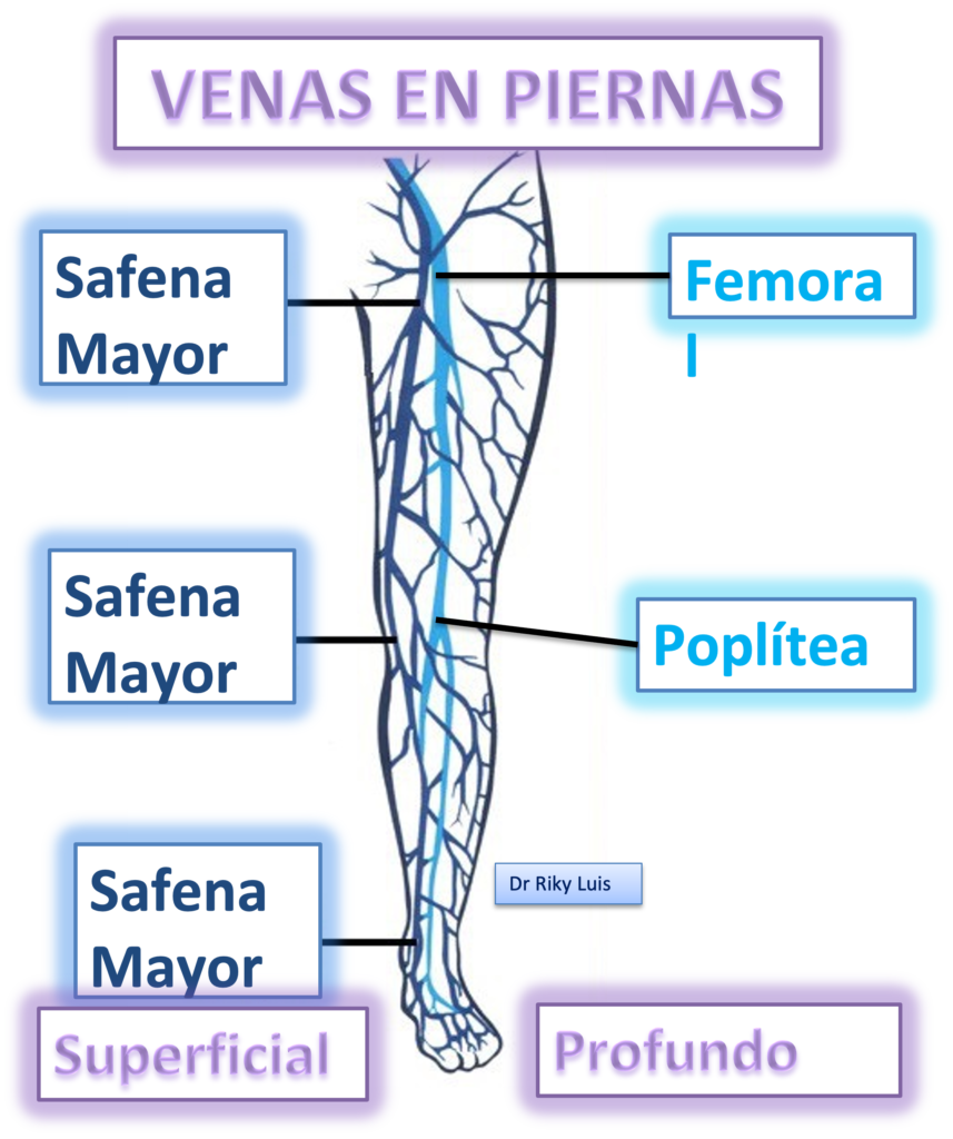 Venas Normales y sanas Clinica Vena Sana